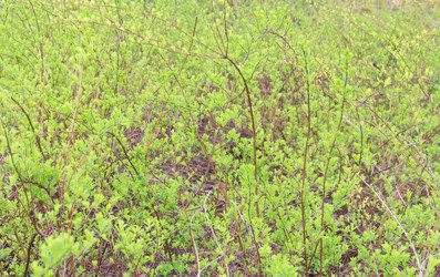 Similar image 1280738