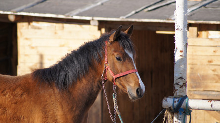 Similar image 1280751