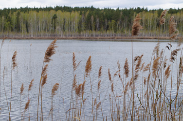 Similar image 1280752