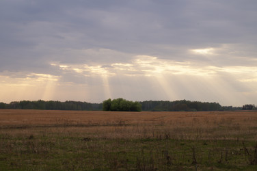 Similar image 1280755