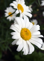 Similar image 1280764