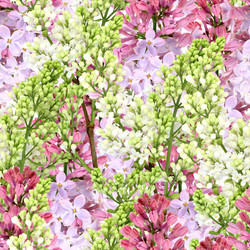 Similar image 1280770