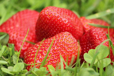 Similar image 1280828