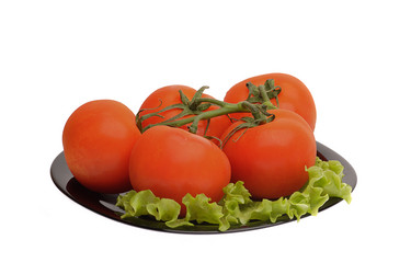 Similar image 1280851