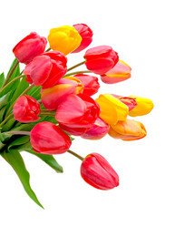 Similar image 1280870