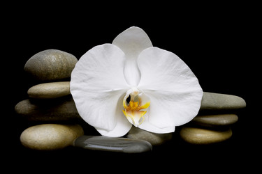 Similar image 1280880