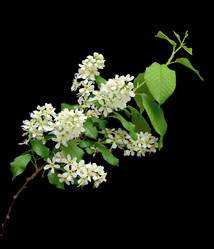 Similar image 1280882