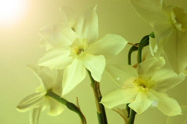 Similar image 1280898