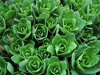 Similar image 1280913