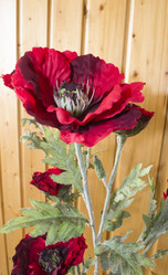 Similar image 1280914