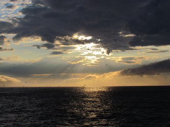 Similar image 1280953