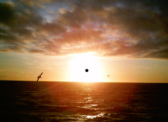 Similar image 1280954