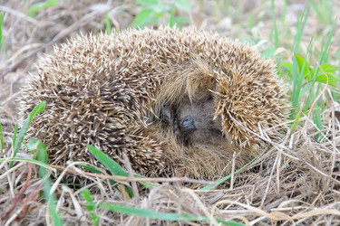 Similar image 1280974