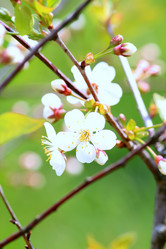 Similar image 1280992