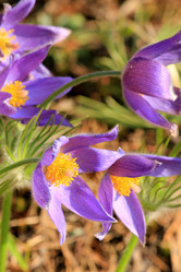 Similar image 1280996