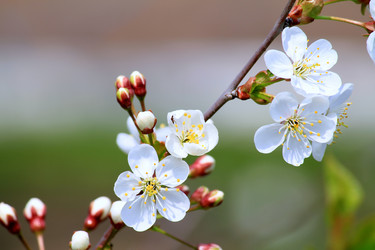 Similar image 1280997