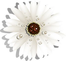 Similar image 1281003