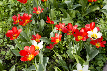 Similar image 1281034