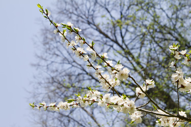 Similar image 1281036