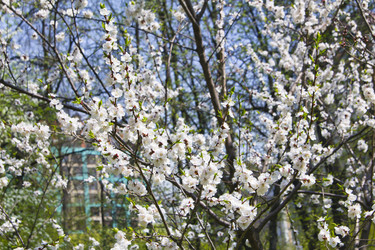 Similar image 1281038