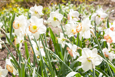 Similar image 1281039