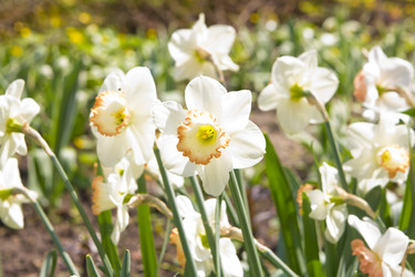 Similar image 1281041