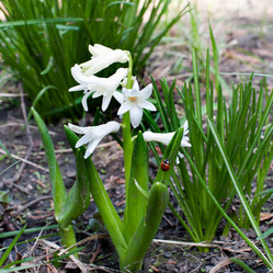 Similar image 1281042