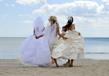 Similar image 1281056