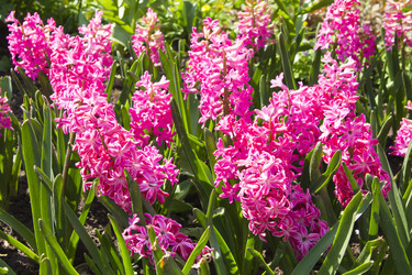 Similar image 1281058