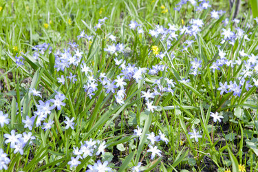 Similar image 1281175