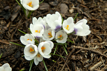 Similar image 1281176