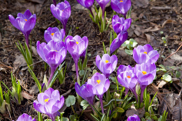 Similar image 1281178