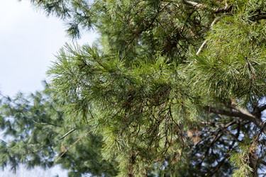 Similar image 1281182