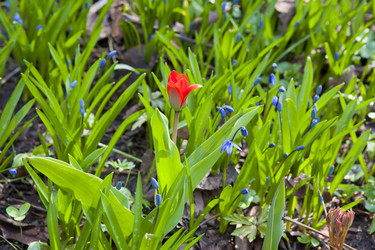 Similar image 1281184