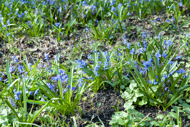 Similar image 1281187