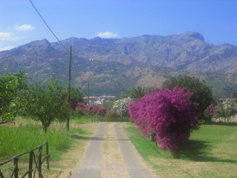 Similar image 1281188