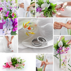 Similar image 1281190