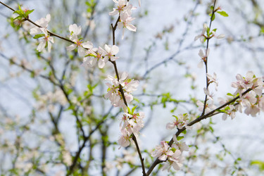 Similar image 1281196