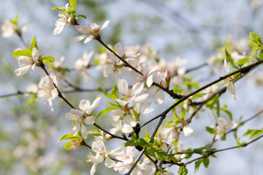 Similar image 1281197