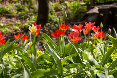 Similar image 1281198