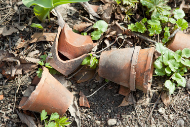 Similar image 1281199