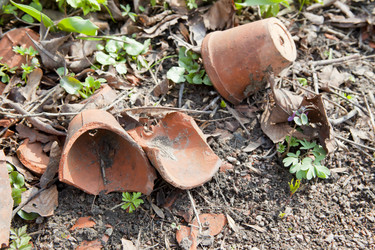 Similar image 1281200