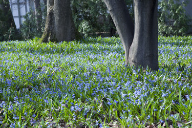 Similar image 1281201