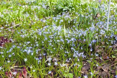 Similar image 1281202