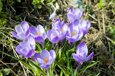 Similar image 1281203