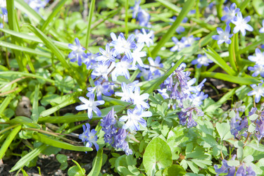 Similar image 1281204