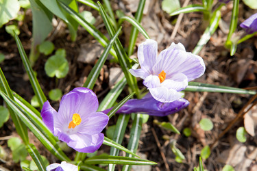 Similar image 1281205