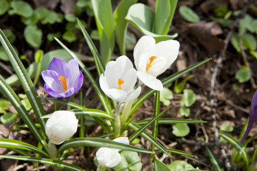 Similar image 1281207