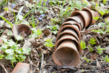 Similar image 1281208