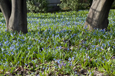 Similar image 1281209